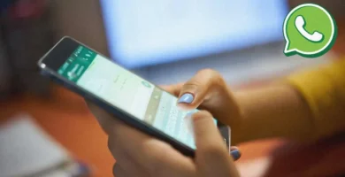 Quien está en línea