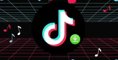 Descargar Videos de TikTok Sin Marca de Agua